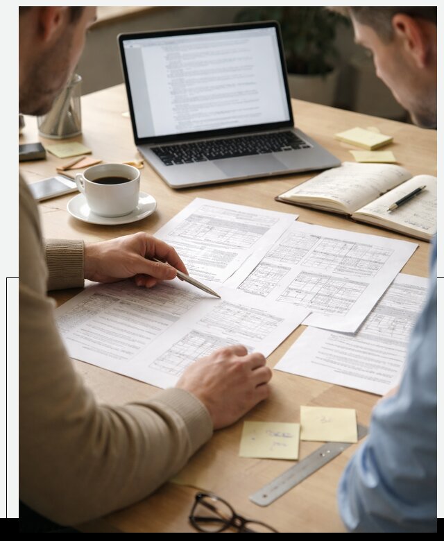 Техническое задание на разработку ПО под ключ в Костомукше